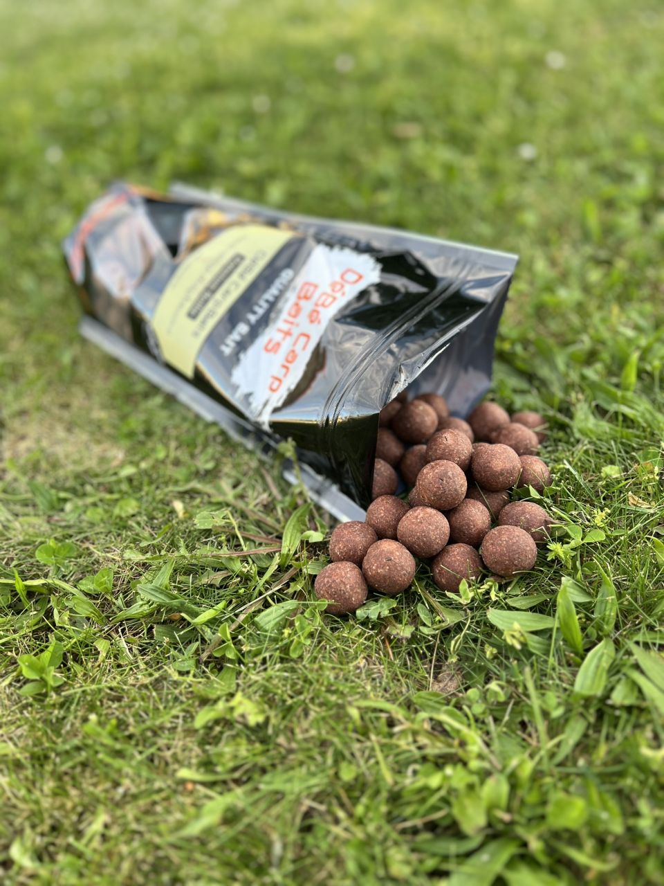 DéBé Carp Baits Premium Boilie Tintahal-Áfonya